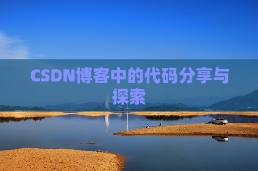 CSDN博客中的代码分享与探索